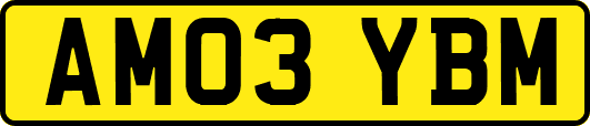 AM03YBM