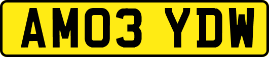 AM03YDW