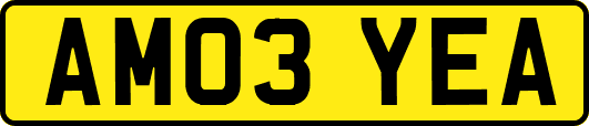 AM03YEA