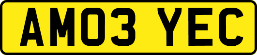 AM03YEC