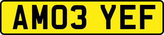 AM03YEF