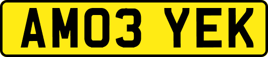 AM03YEK