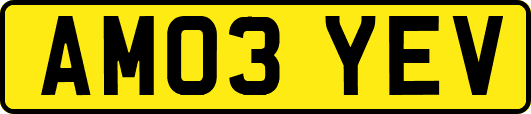 AM03YEV
