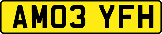 AM03YFH