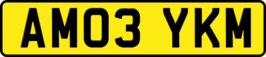 AM03YKM