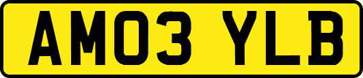 AM03YLB