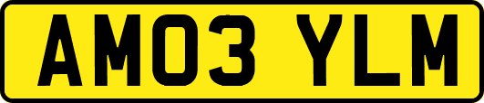 AM03YLM