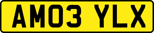 AM03YLX