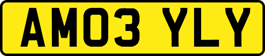 AM03YLY
