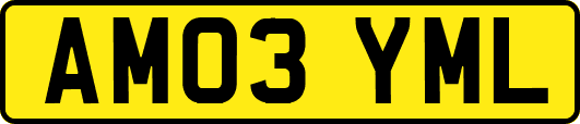 AM03YML