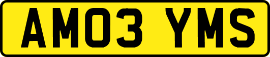 AM03YMS