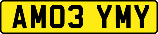 AM03YMY
