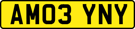 AM03YNY