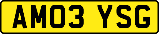 AM03YSG
