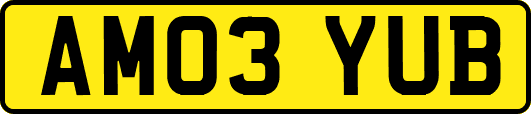 AM03YUB
