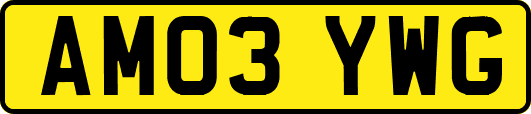AM03YWG