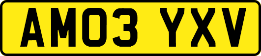 AM03YXV