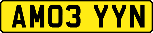 AM03YYN
