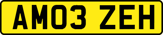 AM03ZEH