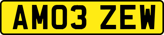 AM03ZEW