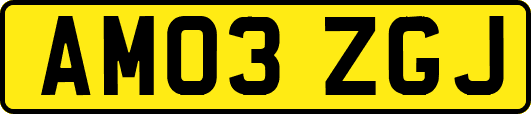 AM03ZGJ