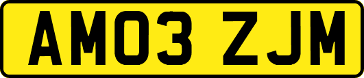 AM03ZJM