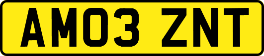AM03ZNT