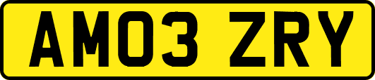 AM03ZRY
