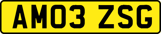AM03ZSG