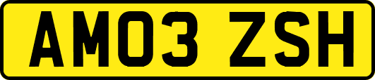 AM03ZSH