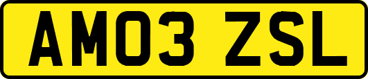 AM03ZSL