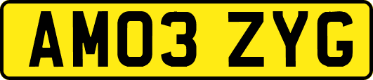 AM03ZYG