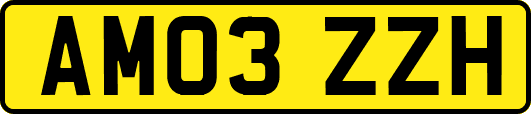 AM03ZZH