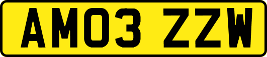 AM03ZZW