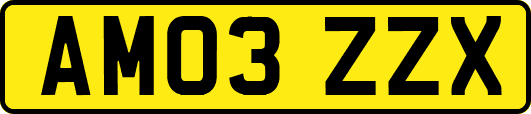 AM03ZZX
