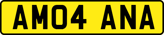 AM04ANA
