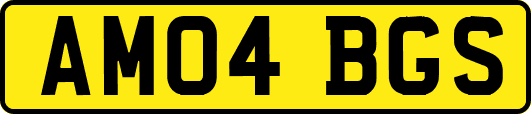 AM04BGS
