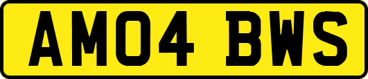 AM04BWS