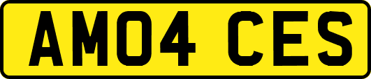 AM04CES