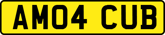 AM04CUB
