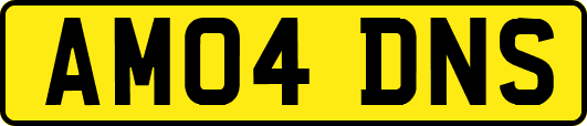 AM04DNS