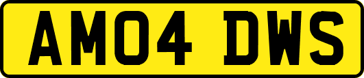 AM04DWS