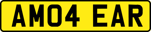 AM04EAR