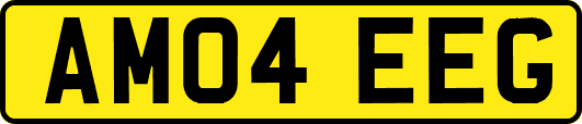 AM04EEG