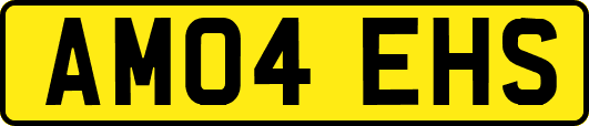 AM04EHS