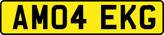 AM04EKG