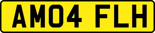AM04FLH
