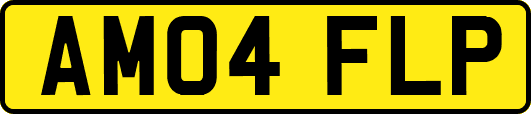 AM04FLP