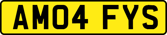 AM04FYS