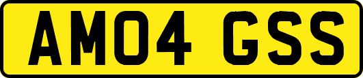 AM04GSS